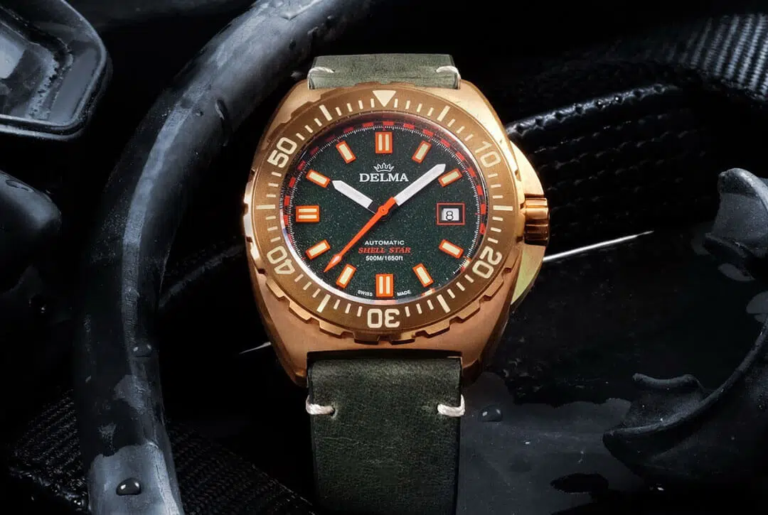 Delma Shell Star Bronze en édition limitée