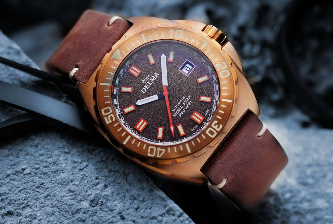 Delma Shell Star Bronze en édition limitée