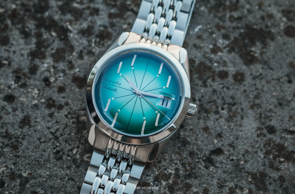 antarctic spider lagon nivada