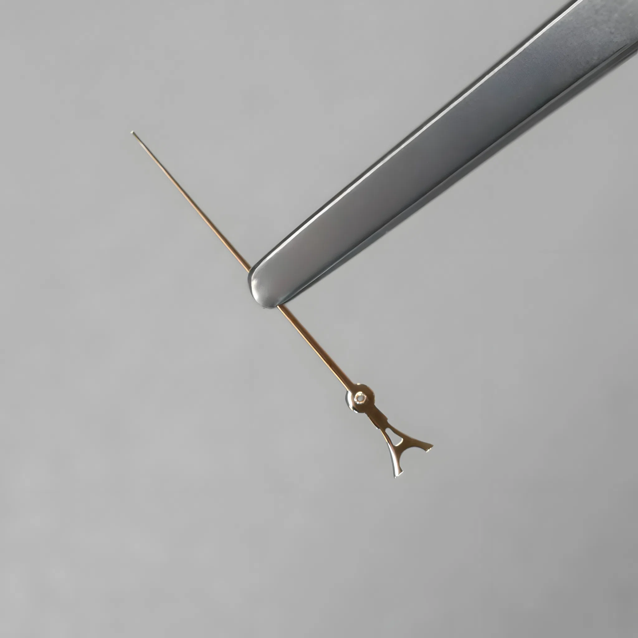 c821dded cd95 4324 8e6c d784e911b684