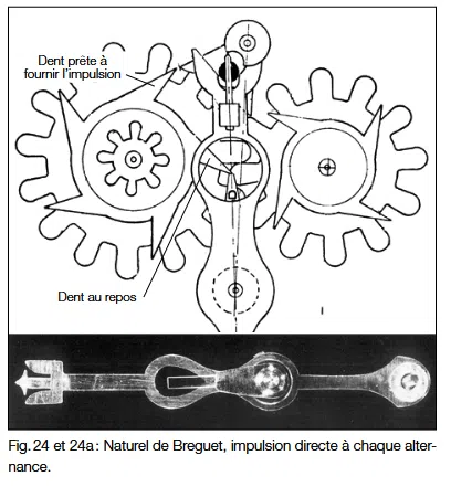 screenshot 2025 03 14 at 13 27 50 09 ssc b86 flores.pdf
