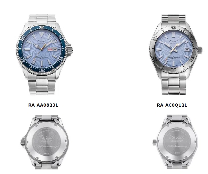 capture d'écran 2025 04 18 152830