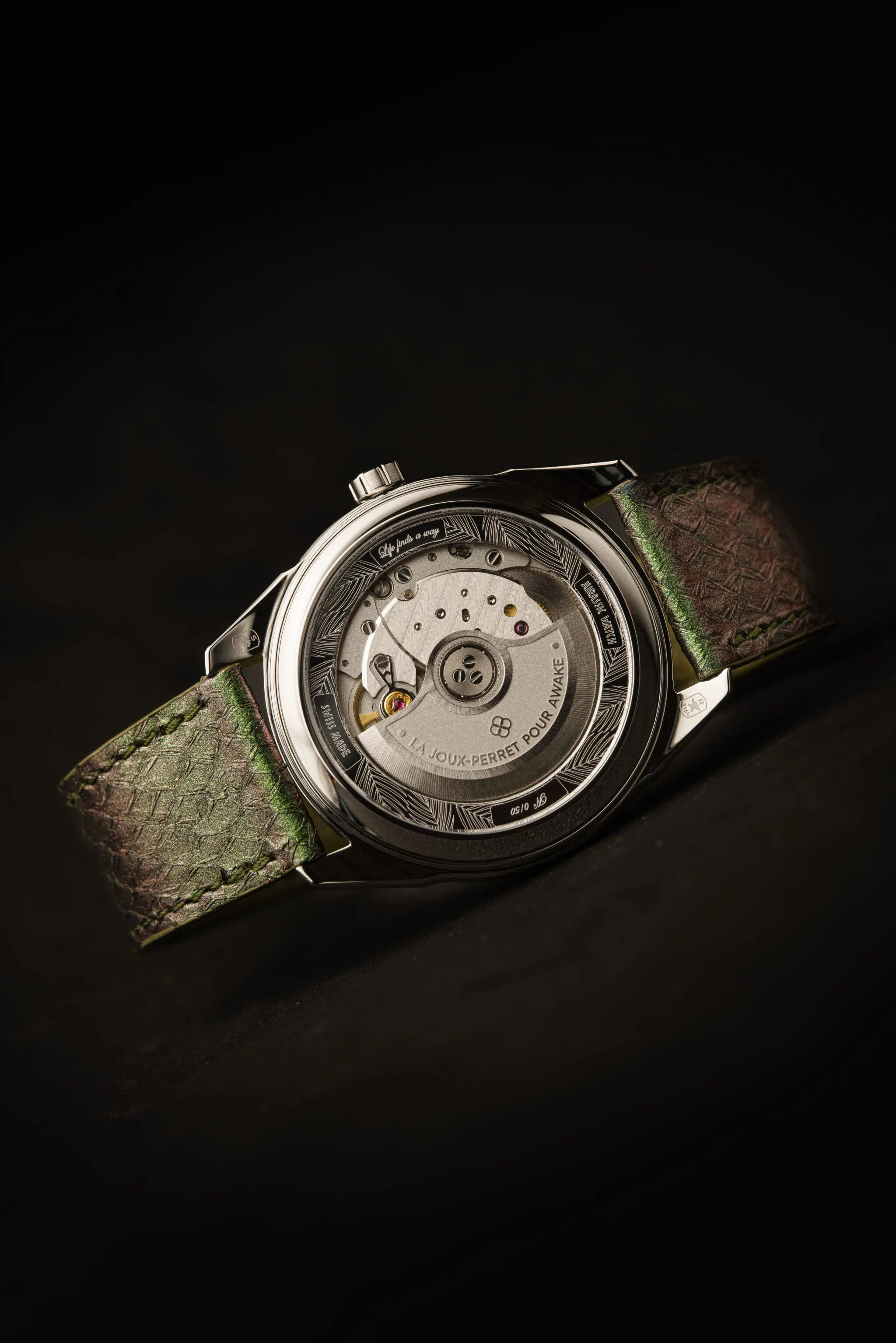raptors edition caseback 2